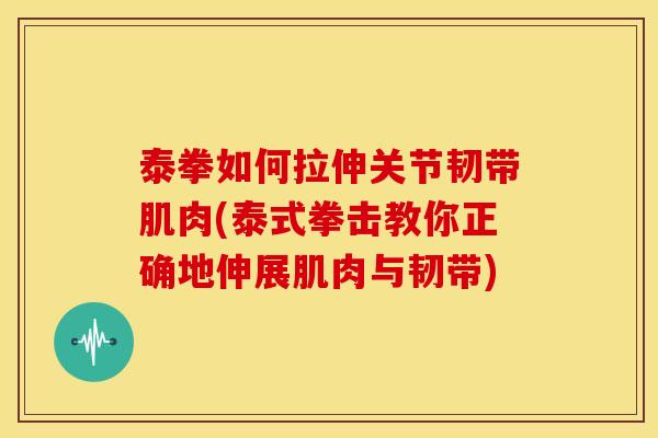 泰拳如何拉伸关节韧带肌肉(泰式拳击教你正确地伸展肌肉与韧带)