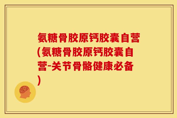 氨糖骨胶原钙胶囊自营(氨糖骨胶原钙胶囊自营-关节骨骼健康必备)