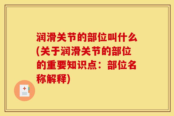 润滑关节的部位叫什么(关于润滑关节的部位的重要知识点：部位名称解释)