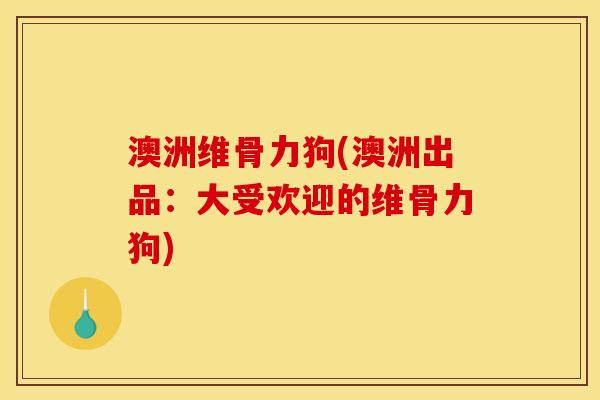 澳洲维骨力狗(澳洲出品：大受欢迎的维骨力狗)