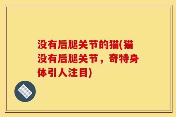 没有后腿关节的猫(猫没有后腿关节，奇特身体引人注目)