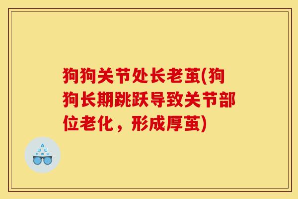 狗狗关节处长老茧(狗狗长期跳跃导致关节部位老化，形成厚茧)