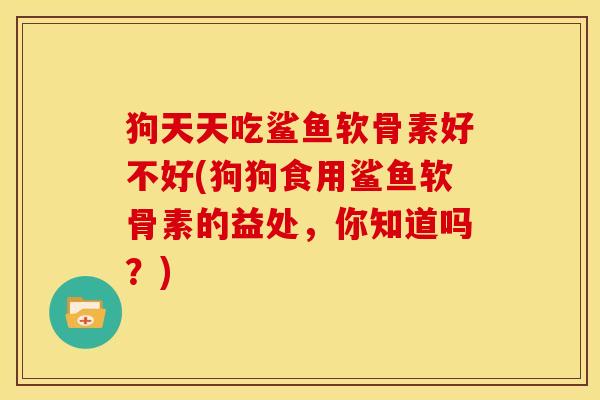 狗天天吃鲨鱼软骨素好不好(狗狗食用鲨鱼软骨素的益处，你知道吗？)