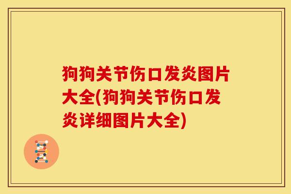 狗狗关节伤口发炎图片大全(狗狗关节伤口发炎详细图片大全) 狗狗关节伤口发炎图片大全(狗狗关节伤口发炎详细图片大全)