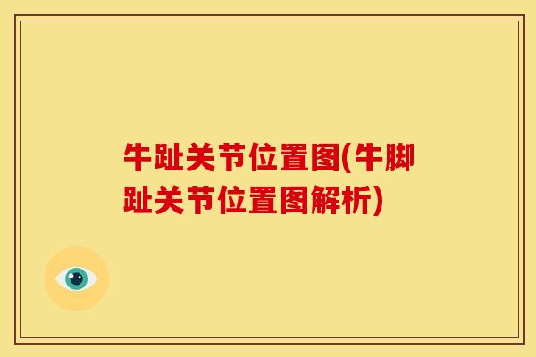 牛趾关节位置图(牛脚趾关节位置图解析)