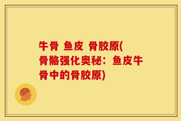 牛骨 鱼皮 骨胶原(骨骼强化奥秘：鱼皮牛骨中的骨胶原)