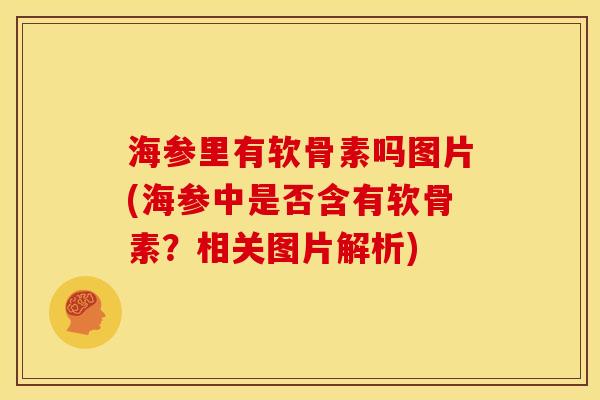 海参里有软骨素吗图片(海参中是否含有软骨素？相关图片解析)