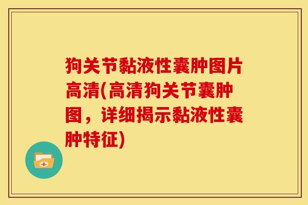 狗关节黏液性囊肿图片高清(高清狗关节囊肿图，详细揭示黏液性囊肿特征)