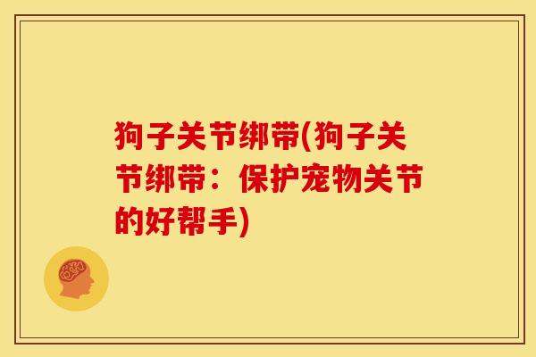 狗子关节绑带(狗子关节绑带：保护宠物关节的好帮手)