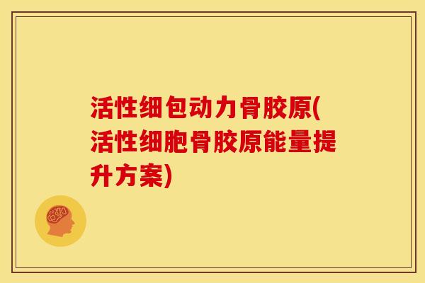 活性细包动力骨胶原(活性细胞骨胶原能量提升方案)