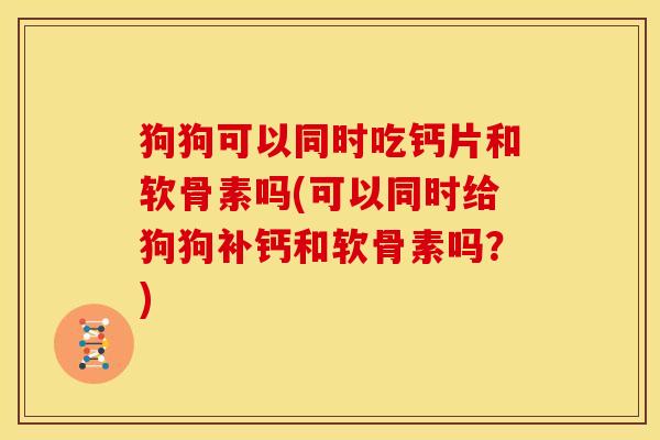 狗狗可以同时吃钙片和软骨素吗(可以同时给狗狗补钙和软骨素吗？)
