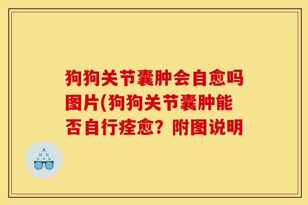 狗狗关节囊肿会自愈吗图片(狗狗关节囊肿能否自行痊愈？附图说明