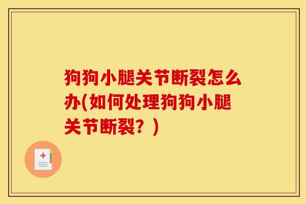 狗狗小腿关节断裂怎么办(如何处理狗狗小腿关节断裂？)