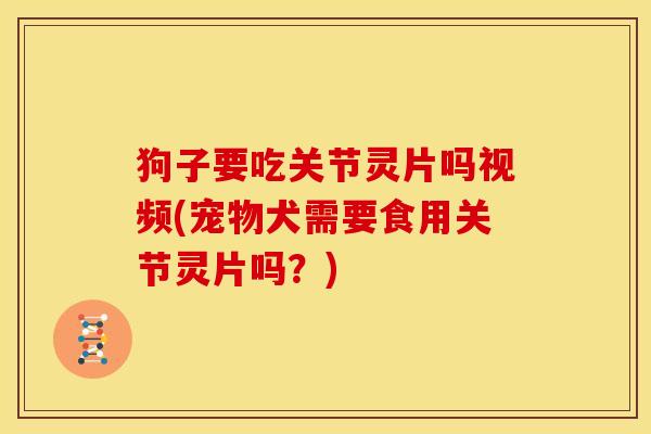狗子要吃关节灵片吗视频(宠物犬需要食用关节灵片吗？)