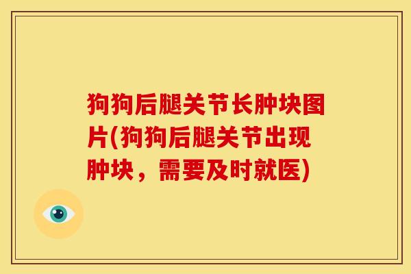 狗狗后腿关节长肿块图片(狗狗后腿关节出现肿块,需要及时就医) 狗狗后腿关节长肿块图片(狗狗后腿关节出现肿块,需要及时就医)