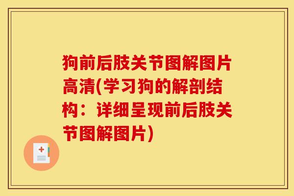 狗前后肢关节图解图片高清(学习狗的解剖结构:详细呈现前后肢关节图解图片) 狗前后肢关节图解图片高清(学习狗的解剖结构:详细呈现前后肢关节图解图片)