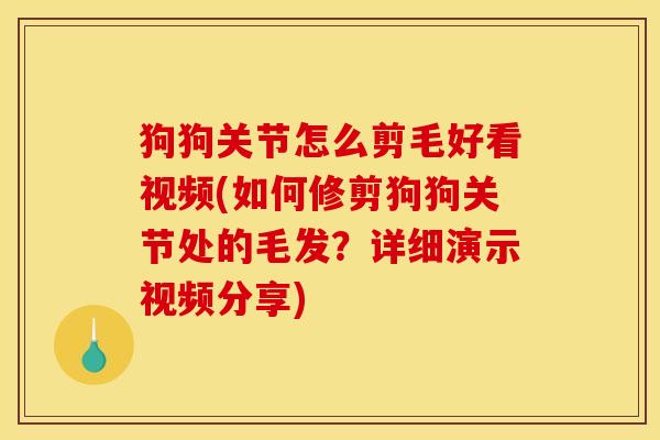 狗狗关节怎么剪毛好看视频(如何修剪狗狗关节处的毛发？详细演示视频分享)