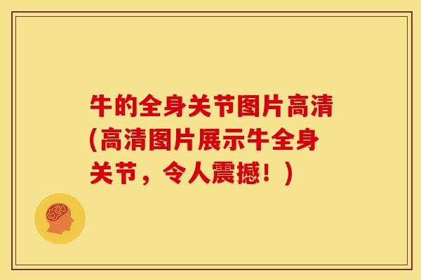 牛的全身关节图片高清(高清图片展示牛全身关节,令人震撼!) 牛的全身关节图片高清(高清图片展示牛全身关节,令人震撼!)