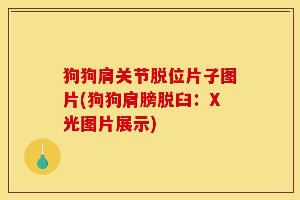 狗狗肩关节脱位片子图片(狗狗肩膀脱臼：X光图片展示)