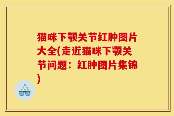 猫咪下颚关节红肿图片大全(走近猫咪下颚关节问题：红肿图片集锦)