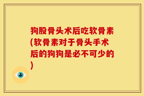 狗股骨头术后吃软骨素(软骨素对于骨头手术后的狗狗是必不可少的)