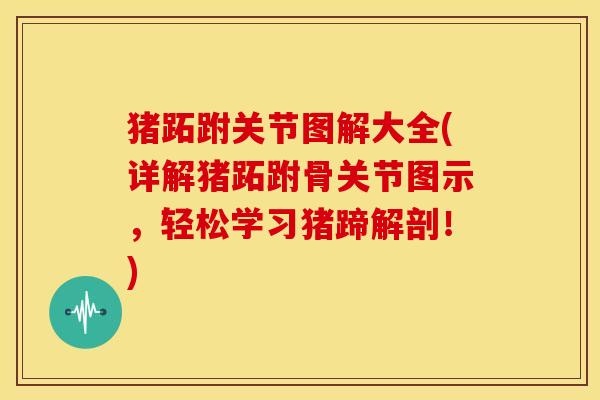 猪跖跗关节图解大全(详解猪跖跗骨关节图示，轻松学习猪蹄解剖！)