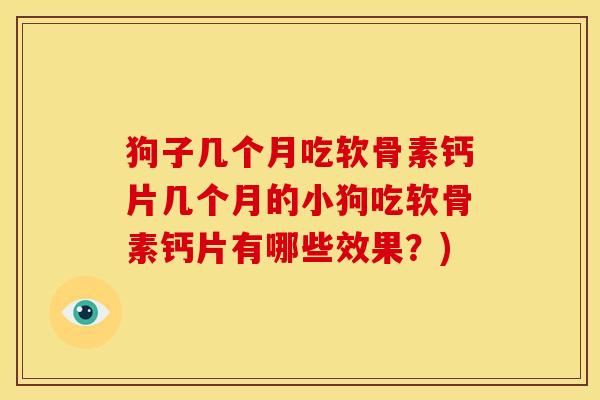 狗子几个月吃软骨素钙片几个月的小狗吃软骨素钙片有哪些效果？)