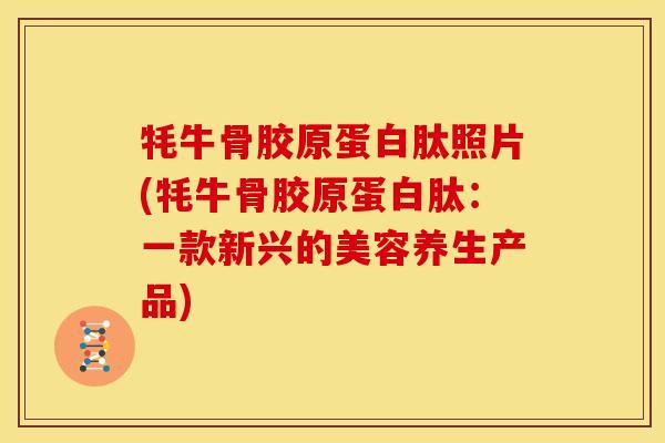 牦牛骨胶原蛋白肽照片(牦牛骨胶原蛋白肽：一款新兴的美容养生产品)