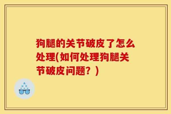 狗腿的关节破皮了怎么处理(如何处理狗腿关节破皮问题？)