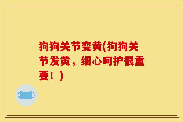 狗狗关节变黄(狗狗关节发黄，细心呵护很重要！)
