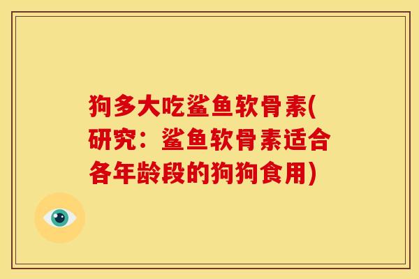 狗多大吃鲨鱼软骨素(研究：鲨鱼软骨素适合各年龄段的狗狗食用)