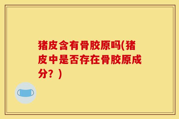猪皮含有骨胶原吗(猪皮中是否存在骨胶原成分？)