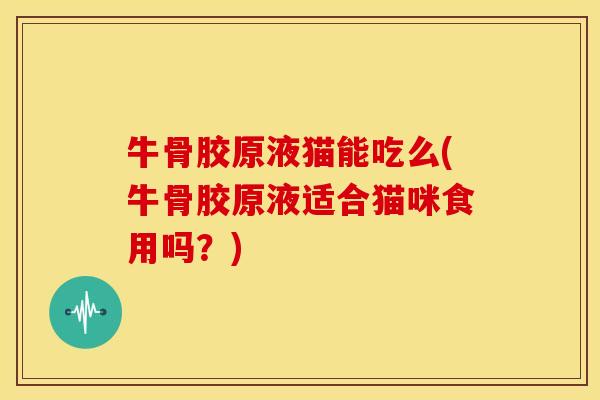 牛骨胶原液猫能吃么(牛骨胶原液适合猫咪食用吗？)