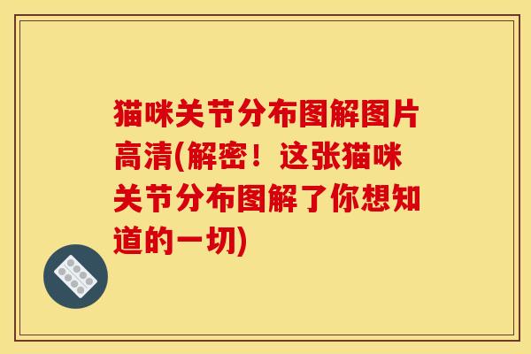 猫咪关节分布图解图片高清(解密！这张猫咪关节分布图解了你想知道的一切)