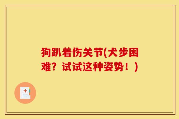 狗趴着伤关节(犬步困难？试试这种姿势！)