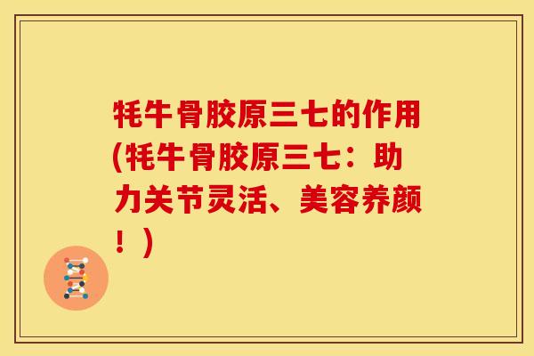 牦牛骨胶原三七的作用(牦牛骨胶原三七：助力关节灵活、美容养颜！)