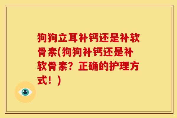 狗狗立耳补钙还是补软骨素(狗狗补钙还是补软骨素？正确的护理方式！)