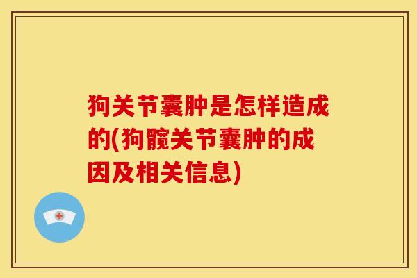 狗关节囊肿是怎样造成的(狗髋关节囊肿的成因及相关信息)