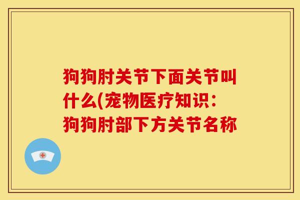 狗狗肘关节下面关节叫什么(宠物医疗知识：狗狗肘部下方关节名称