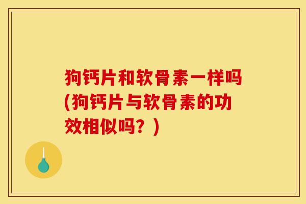 狗钙片和软骨素一样吗(狗钙片与软骨素的功效相似吗？)