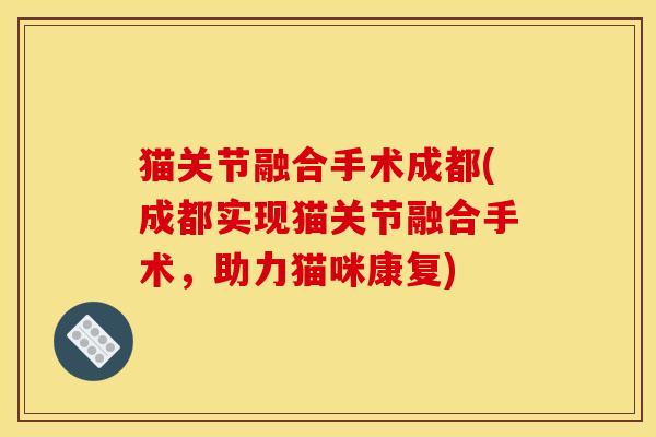 猫关节融合手术成都(成都实现猫关节融合手术，助力猫咪康复)
