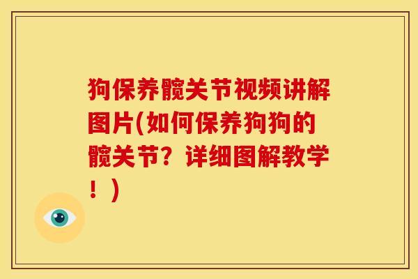 狗保养髋关节视频讲解图片(如何保养狗狗的髋关节？详细图解教学！)