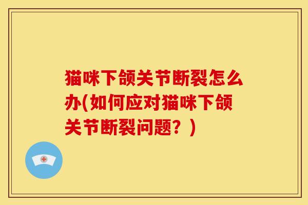 猫咪下颌关节断裂怎么办(如何应对猫咪下颌关节断裂问题？)
