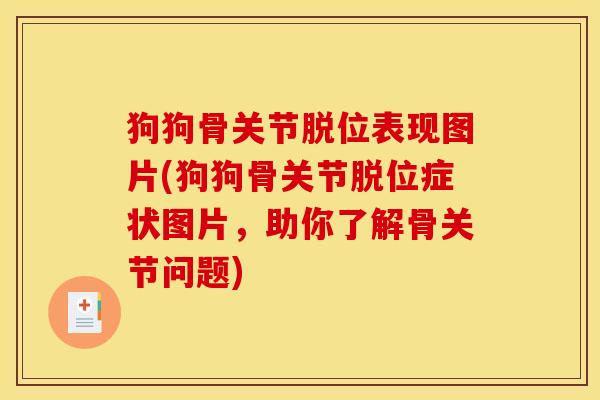 狗狗骨关节脱位表现图片(狗狗骨关节脱位症状图片，助你了解骨关节问题)