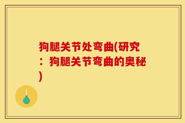 狗腿关节处弯曲(研究：狗腿关节弯曲的奥秘)