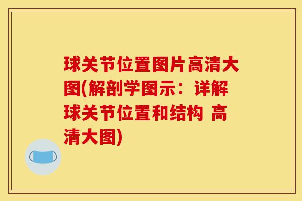 球关节位置图片高清大图(解剖学图示：详解球关节位置和结构 高清大图)