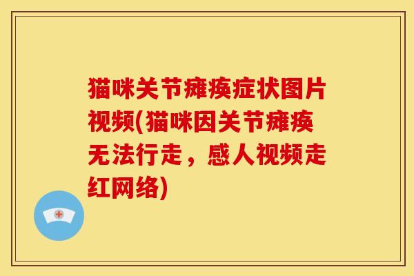 猫咪关节瘫痪症状图片视频(猫咪因关节瘫痪无法行走，感人视频走红网络)
