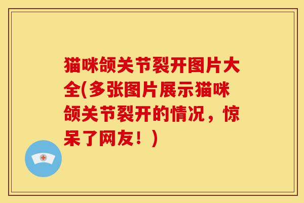猫咪颌关节裂开图片大全(多张图片展示猫咪颌关节裂开的情况，惊呆了网友！)