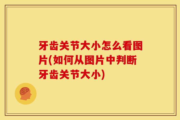 牙齿关节大小怎么看图片(如何从图片中判断牙齿关节大小)