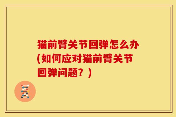 猫前臂关节回弹怎么办(如何应对猫前臂关节回弹问题？)